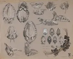 Feuille d'études de seiche by Mathurin Méheut, Pierre noire, rehauts de gouache blanche sur papier beige, sold Sep 2024