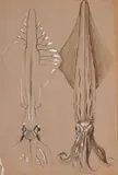 Feuille d'études de calamars by Mathurin Méheut, Pierre noire, lavis brun, rehauts de gouache blanche sur traits de crayon noir, sold Sep 2024