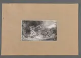 Jeune tigre jouant avec sa mère by Eugène Delacroix, Lithographie publiée par la revue Artiste, sold Sep 2024