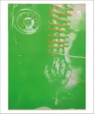 Work by Tetsumi Kudo, 1974, Lithographie en couleurs, sold Jun 2018