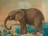 L'éléphant, 2 juin 1886 by Aloys Zötl, Aquarelle et encre de Chine sur papier, sold Jun 2018