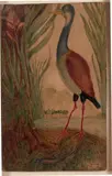L'échassier by Henri Rousseau, Aquarelle sur papier, sold Jun 2018