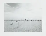 Cape Cod (Volleyball net) by Harry Callahan, silver gelatin print, sold Apr 2023