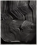 Book with Wavy Pages by Abelardo Morell, silver gelatin print, sold Apr 2023