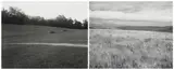 Two Photographs - Meadow, Last Sun and Prairie, Lincoln County, Minnesota by John Szarkowski, silver gelatin print, sold Apr 2023