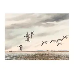 Brant in Flight by David Hagerbaumer, Watercolor on paper, sold May 2025
