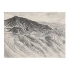 Crabtree Bald, Smokies by Leo Meissner, Crayon on paper, sold May 2025