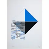 Vibrations en noir et bleu - 1971 by Jesús Rafael Soto, Sérigraphie sur papier vélin, sold Jun 2023