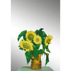 Tournesols (Girasoli) - 1973 by Michelangelo Pistoletto, Sérigraphie sur acier poli miroir, sold Jun 2023