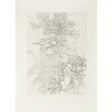 Feuillages - c. 1970 by Sam Szafran, Eau-forte sur papier vélin, sold Jun 2023