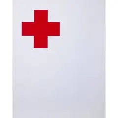 Croix Rouge - 1975 by Jean Pierre Raynaud, Sérigraphie sur papier vélin marouflé sur carton, toutes marges, sold Jun 2023