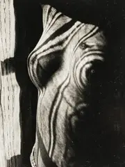 Retour à la Raison by Man Ray, 1923, gelatin silver print, sold Mar 2026