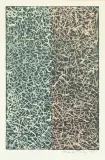 Ohne Titel by Mark Tobey, 1970, color lithograph, offered Sep 2026