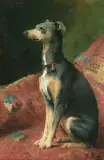 Fadette (Windhund) by Julie Buchet, oil on canvas, sold Jun 2026