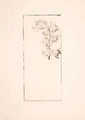 3 Bll by Jakob Demus, etching, sold Mar 2024