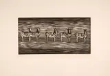 Zebras by Gerhard Marcks, 1956, woodcut, sold Mar 2024
