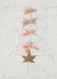 Da un Erbario Raccolto nel 1979 in Woga-Woga, Australia by Mario Merz, 1989, color lithograph, offered Mar 2024