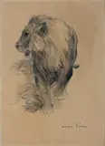 Schreitender Löwe by Otto Dill, ink, sold Mar 2024
