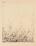 Ohne Titel by Peter Herkenrath, ink, offered Mar 2024