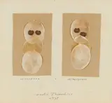 Sprechblase - Selbesprach by André Thomkins, 1975, collage, sold Mar 2024