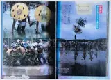 Japanisches Schlammfest by Kazuo Katase, collage, offered Sep 2024