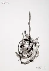 Ohne Titel by Friederich Werthmann, 2014, ink, offered Mar 2025