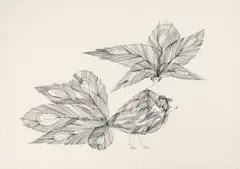 Frau als Vogelwesen by Paul Flora, lithograph, offered Mar 2026