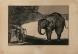 Disperate de bestia (Otras Leyes por el Pueblo) by Francisco Goya y Lucientes, 1877, etching, sold Sep 2026