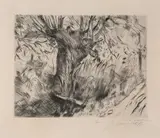 Alter Weidenbaum by Lovis Corinth, 1916, drypoint, sold Sep 2026