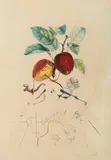 Pommes dragon (aus: Flordali) by Salvador Dalí, 1969, etching, sold Sep 2026