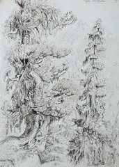 Fichte und Kiefer (Arve) by Otto Dix, 1935, ink, sold Sep 2026