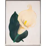 Calla Lilly by Robert Jergens, Oil pastel on mat board, offered Mar 2025