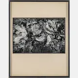 Cabbages (1969) by Robert Morrow, Silver gelatin print, offered Mar 2025