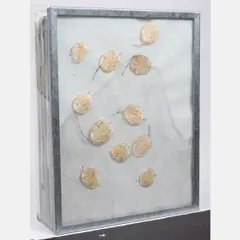 Seed Packet, 1989,Glass by Emil Lukas, steel, offered Nov 2024