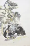 Untitled by Ellen Lanyon, lithograph "Eagle Beak", sold Feb 2024