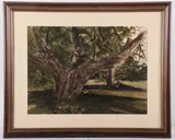 PA artist by Rea Redifer, watercolor "The Old Tree", sold Feb 2024