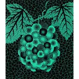 Grapes by Yayoi Kusama, 1982, screenprint, sold Apr 2022