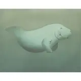 Manatee by Beth Van Hoesen, 1988, etching with aquatint in colors, sold Apr 2022