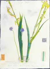 Untitled by Royal Nebecker ''Adjo Berlin'', Mixed Media Framed 29.5''x23.5'', sold Jul 2023