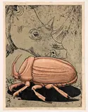 The Little Five Series: The Rhino Beetle by John Moore, woodcut, sold May 2023