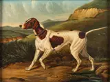 Portrait of a pointer in landscape - Oil on card - 22 by Edwin Loder of Bath, 1872, Oil on card, sold Jan 2025