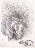 Untitled by Peggy Alexander, ink and pencil, offered Nov 2024