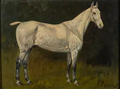 Study of a dapple horse - Oil by George Paice, Oil on canvas -22 x, sold Oct 2024