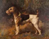 Fox terrier - Oil by Frank Insall, Oil on board -19 x, sold Oct 2024