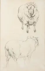 Untitled by Robert Hills, Pencil, sold Oct 2024