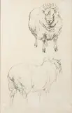 Untitled by Robert Hills, Pencil, sold Oct 2024