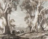 Gum Trees - Charcoal by Hans Heysen, Charcoal, coloured chalks and pencil -32 x, offered Oct 2024