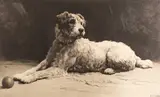 Ready by Herbert Dicksee, Etching -, sold Oct 2024