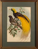 And John Gould by William Matthew Hart, lithograph, offered Oct 2024
