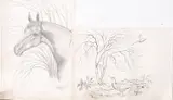 Untitled by Peggy Alexander, ink and pencil, sold Aug 2024